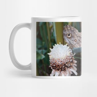 Owl butterfly Mug